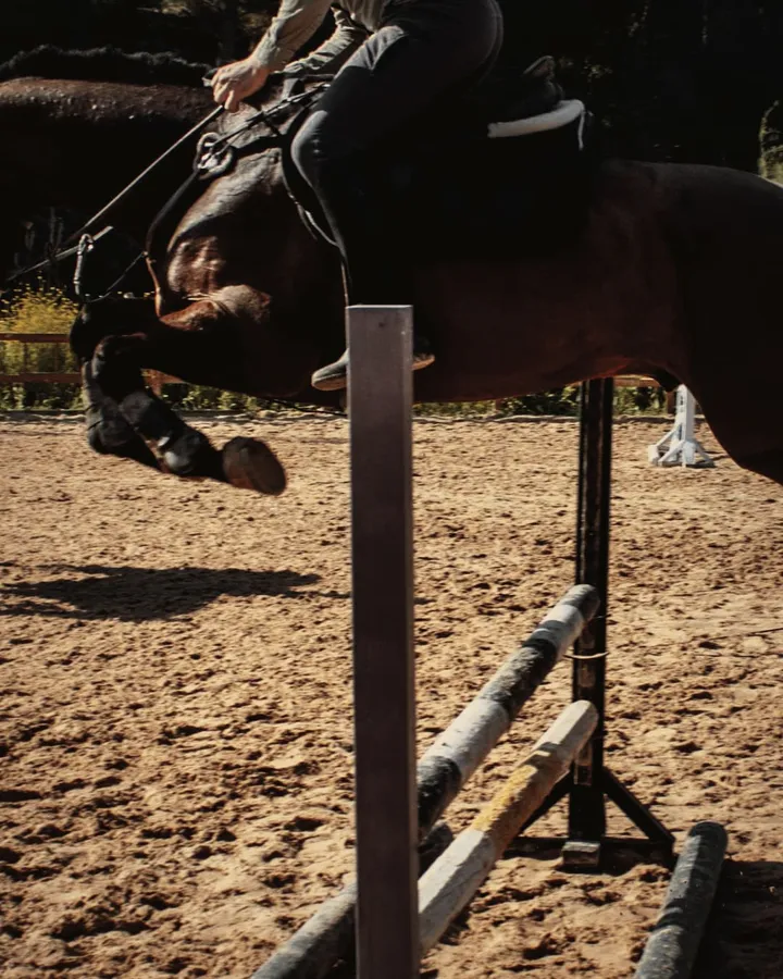 A bay horse's forelegs folded over a jump in a sand ring, the rider's boot above, pines behind