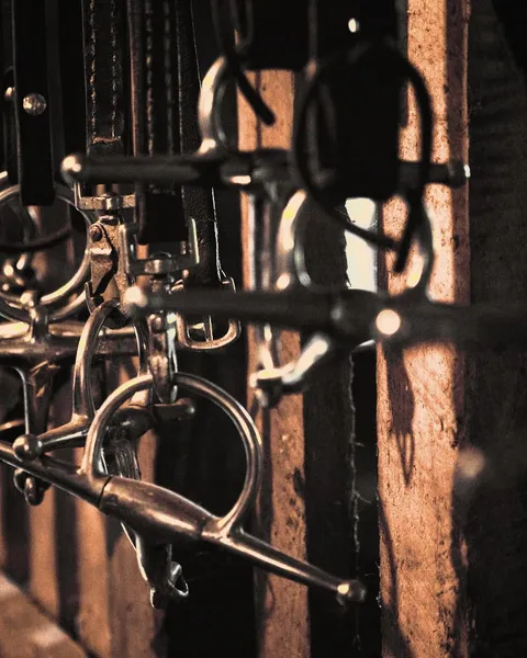 Bits and bridles hanging on hooks in warm, low light
